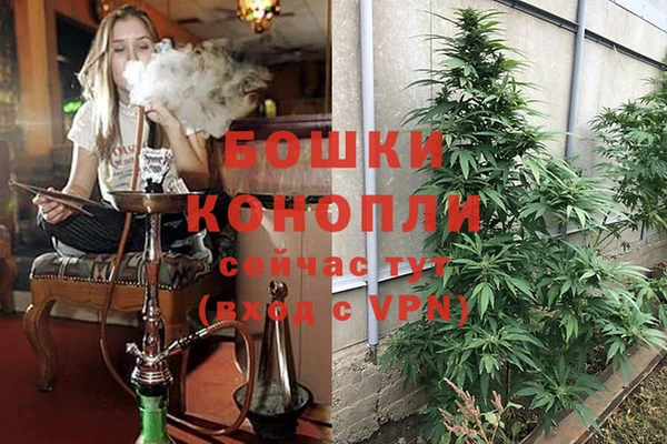 бошки Богородск