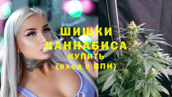 a pvp Богданович