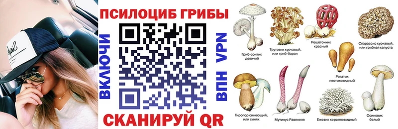 Галлюциногенные грибы Psilocybe  Онега 